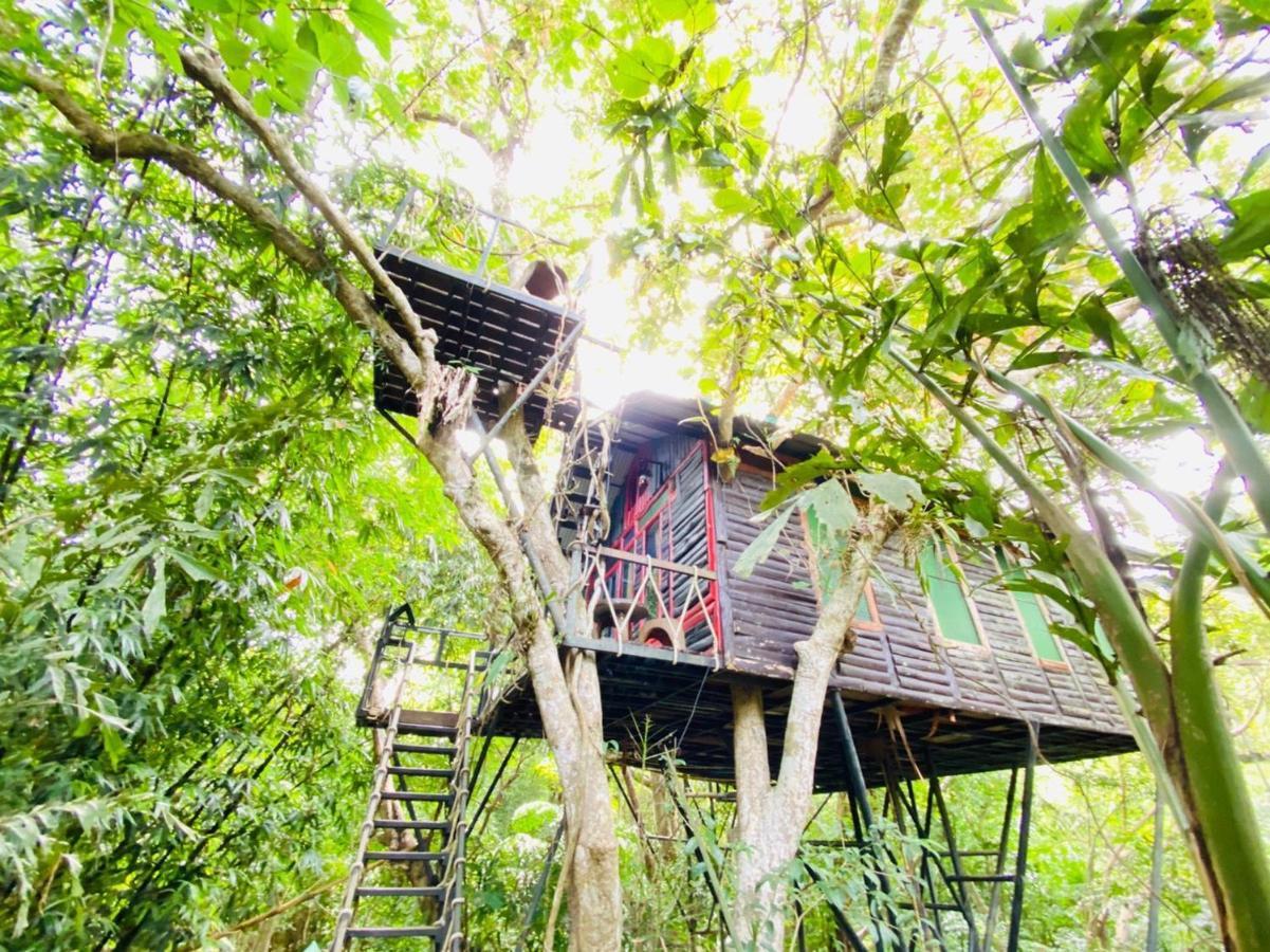 Khao Sok Tree House Resort Khao Sok National Park Exterior foto